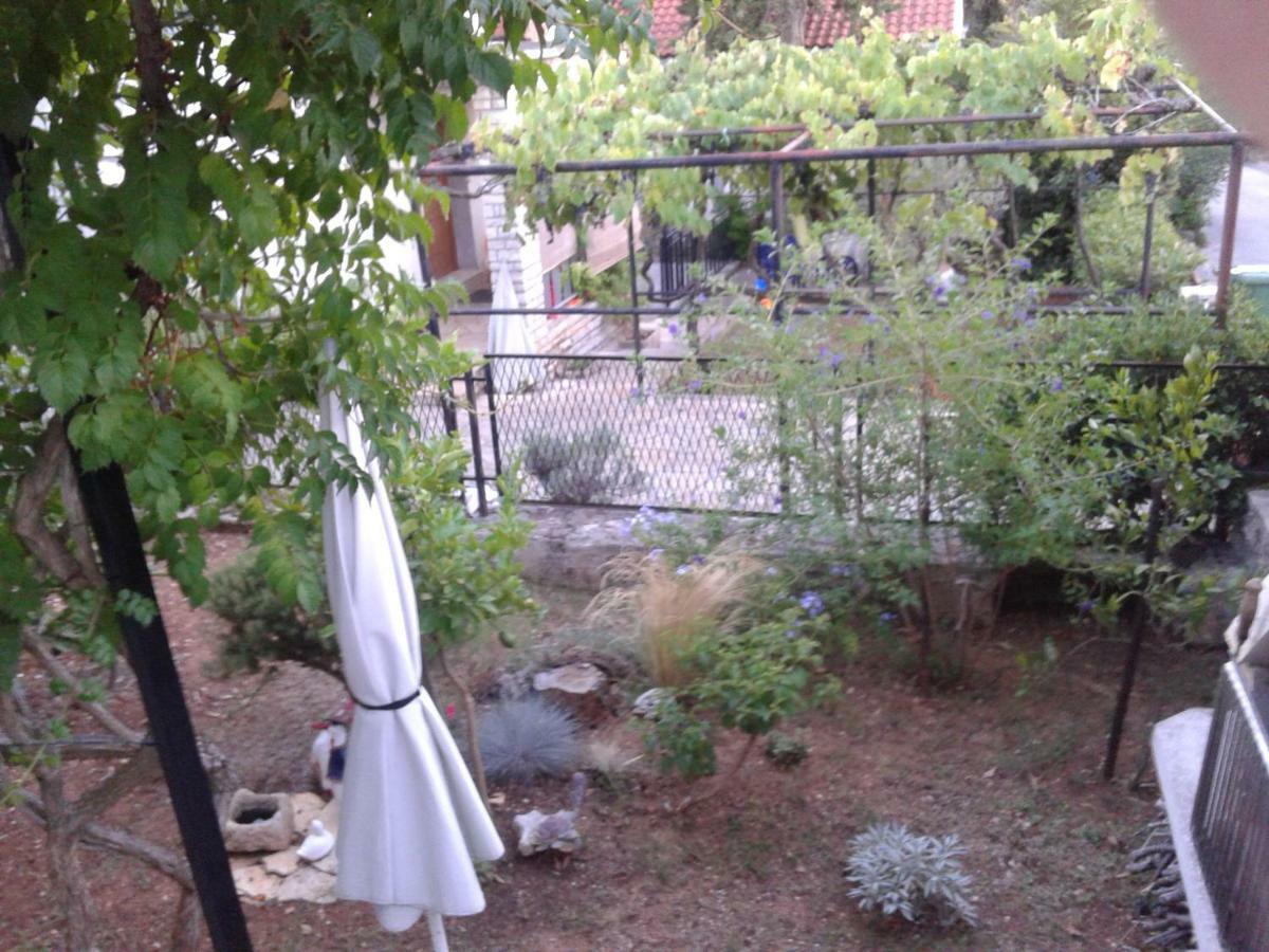 Apartment Milka Petrčane Dış mekan fotoğraf