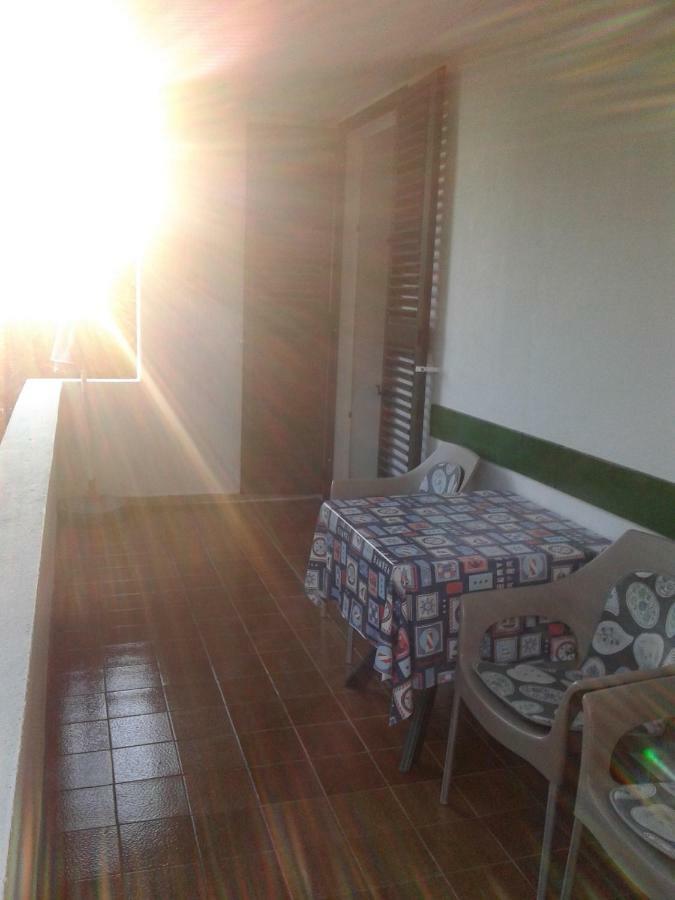 Apartment Milka Petrčane Dış mekan fotoğraf