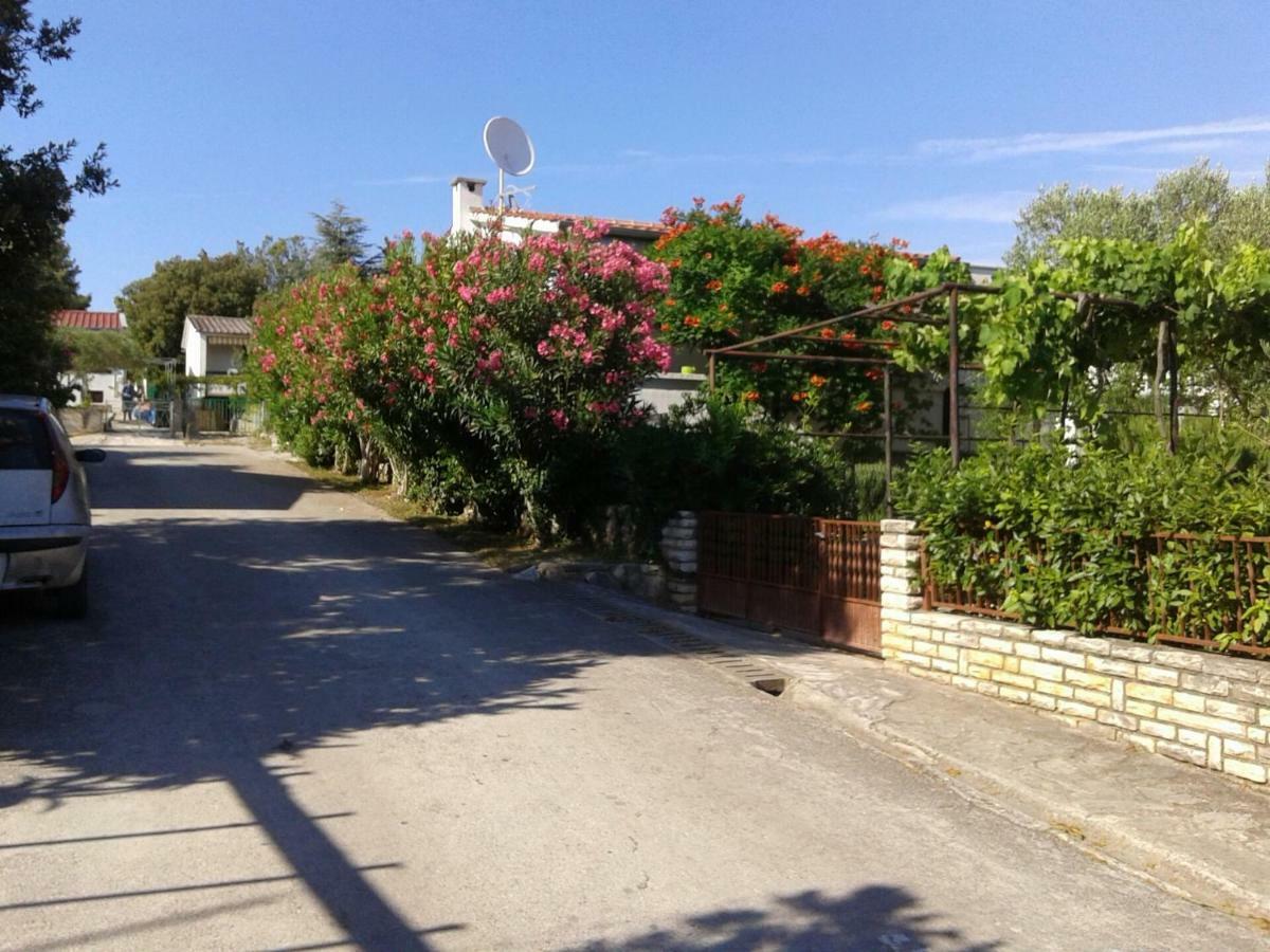 Apartment Milka Petrčane Dış mekan fotoğraf